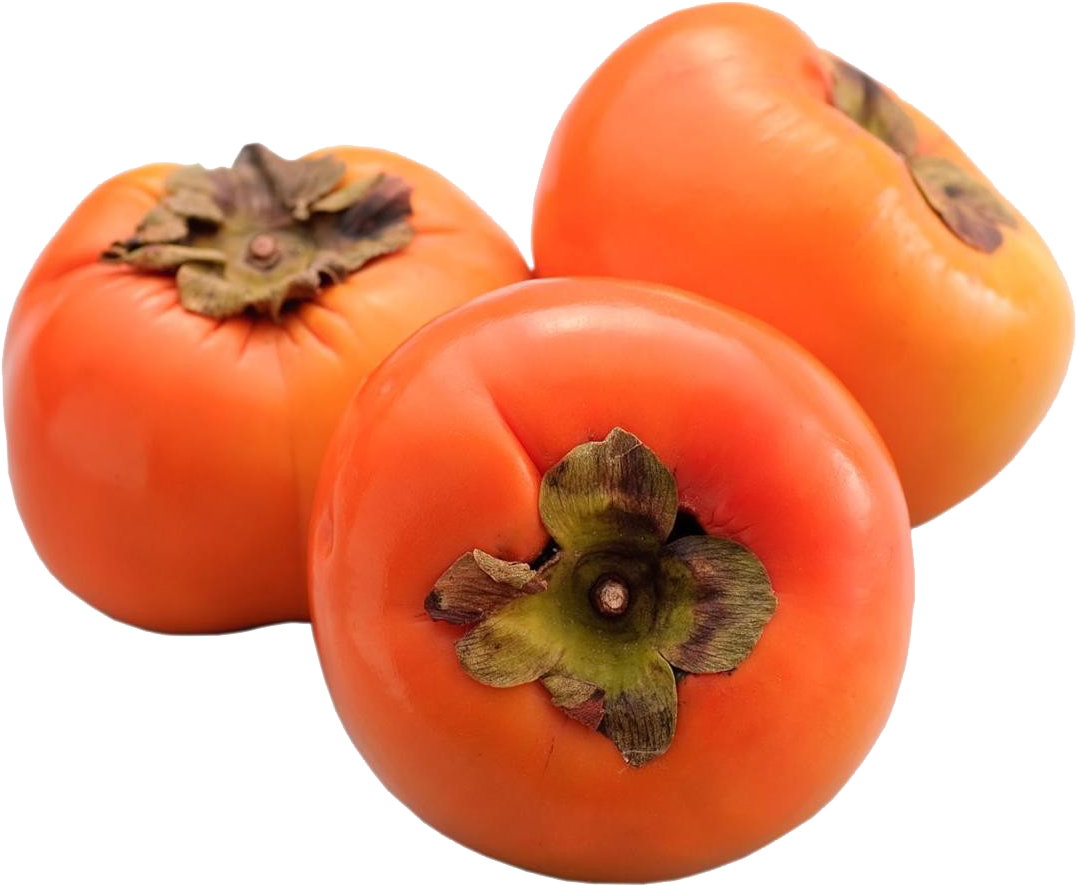 Fresh Persimmons Isolated