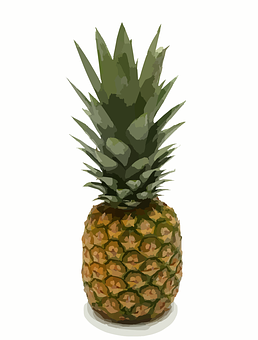 Fresh Pineapple Illustration