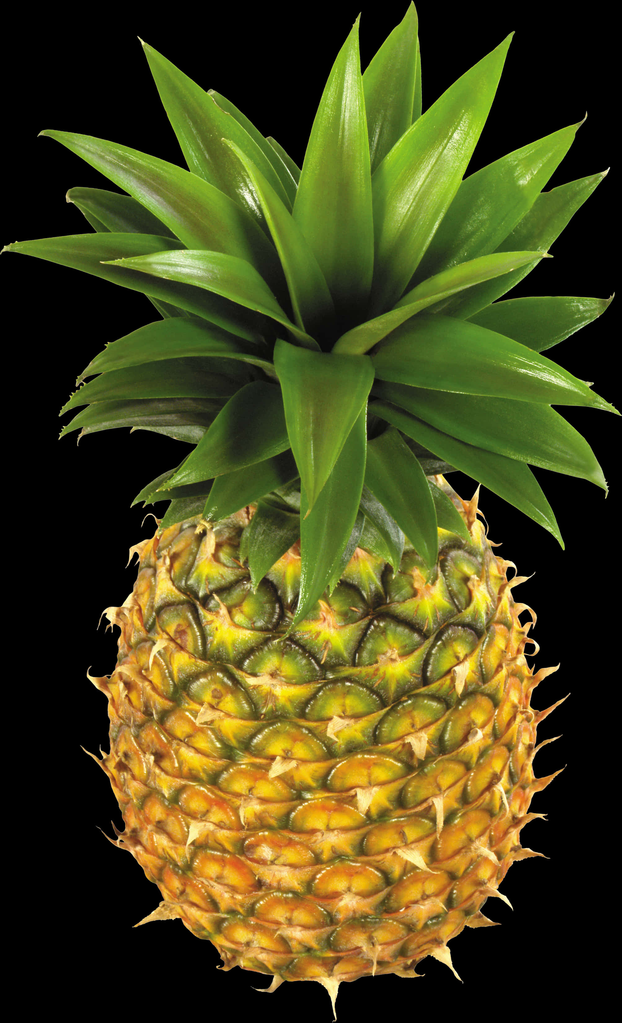 Fresh Pineapple Isolatedon Black