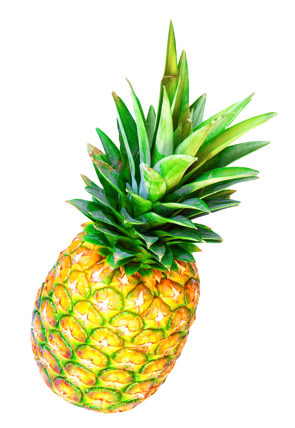 Fresh Pineapple Isolatedon Gray