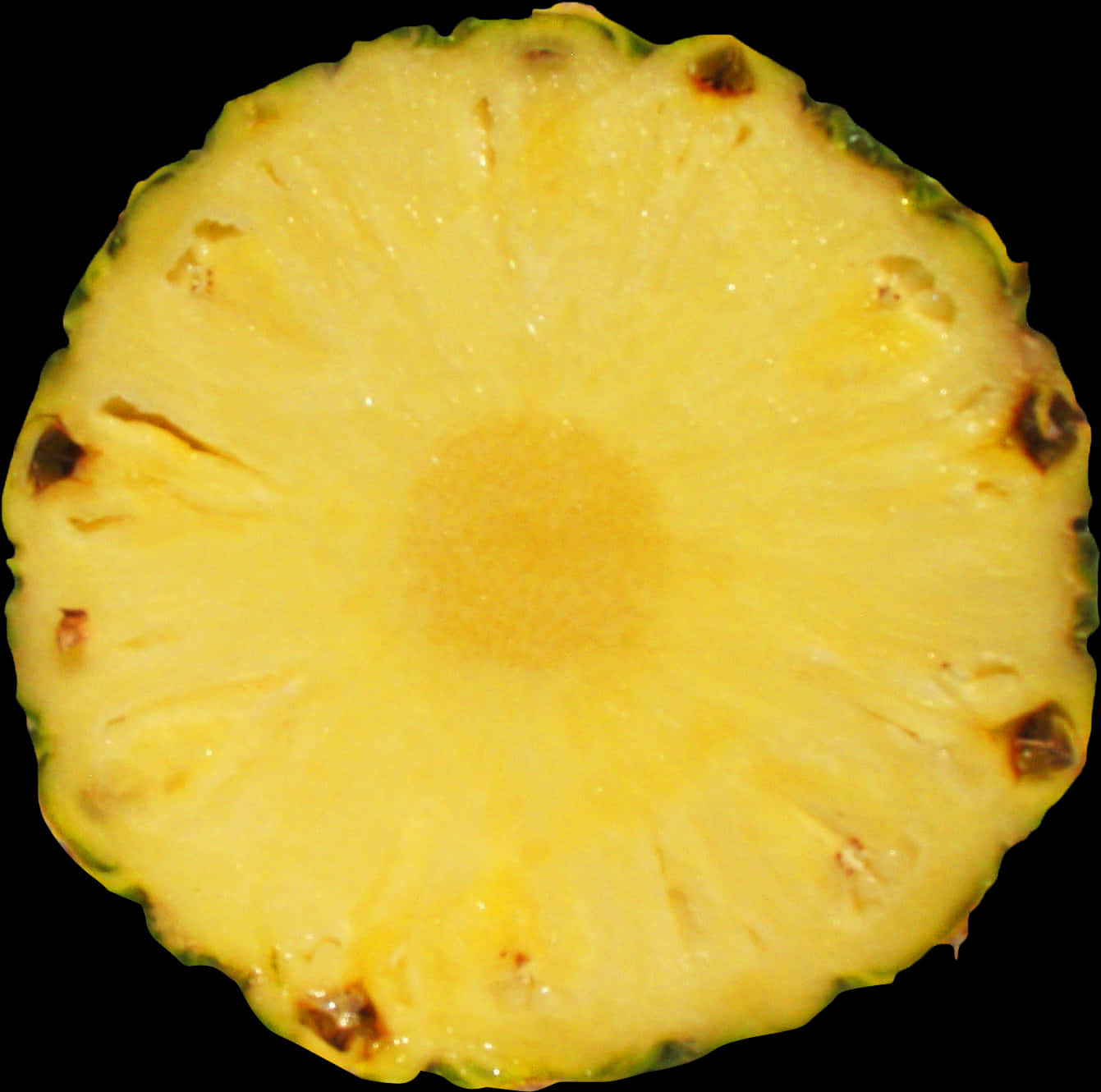 Fresh Pineapple Slice Cross Section.jpg