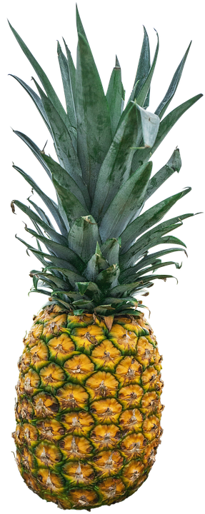 Fresh Pineapple Standing