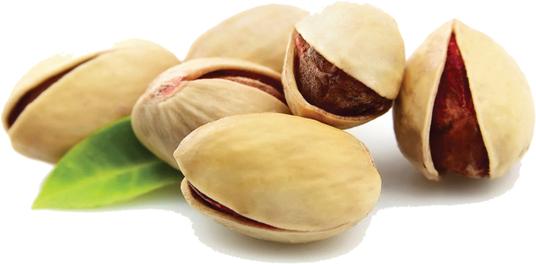 Fresh Pistachios White Background