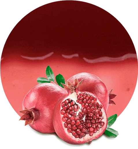 Fresh Pomegranate Fruit Circle Background