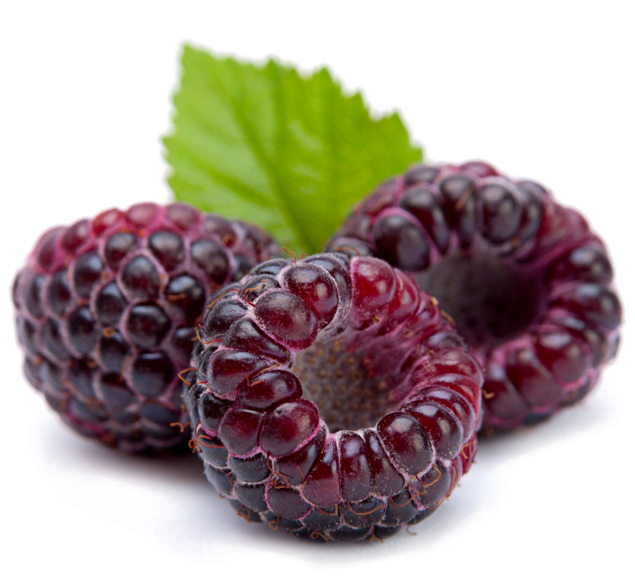 Fresh Raspberrieswith Leaf.png