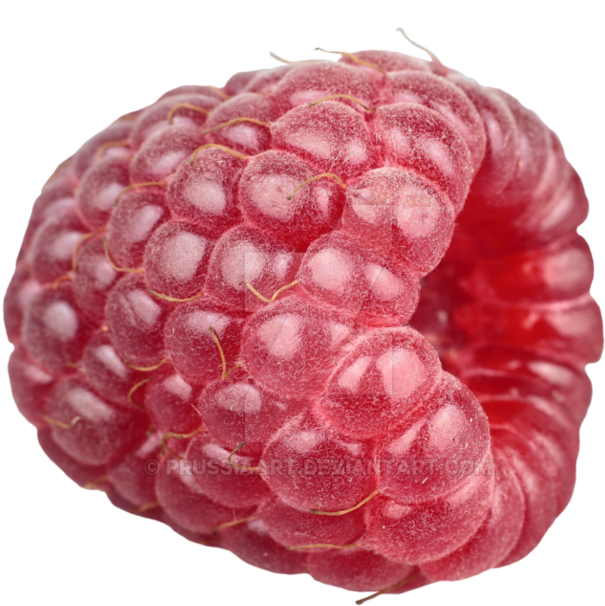 Fresh Raspberry Closeup.png