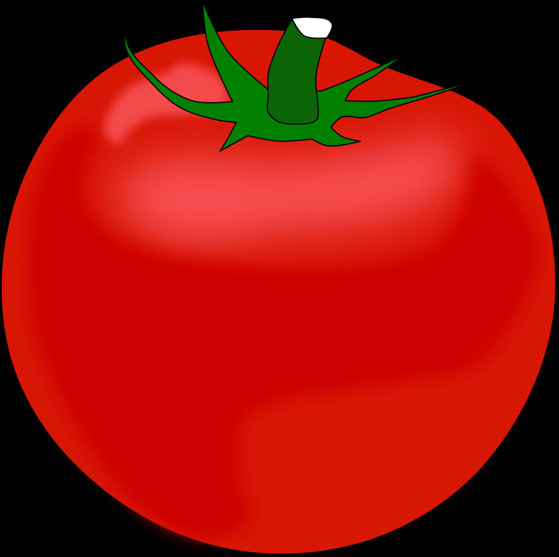 Fresh Red Tomato Illustration