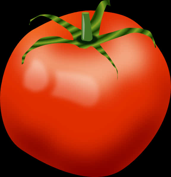 Fresh Red Tomato Illustration