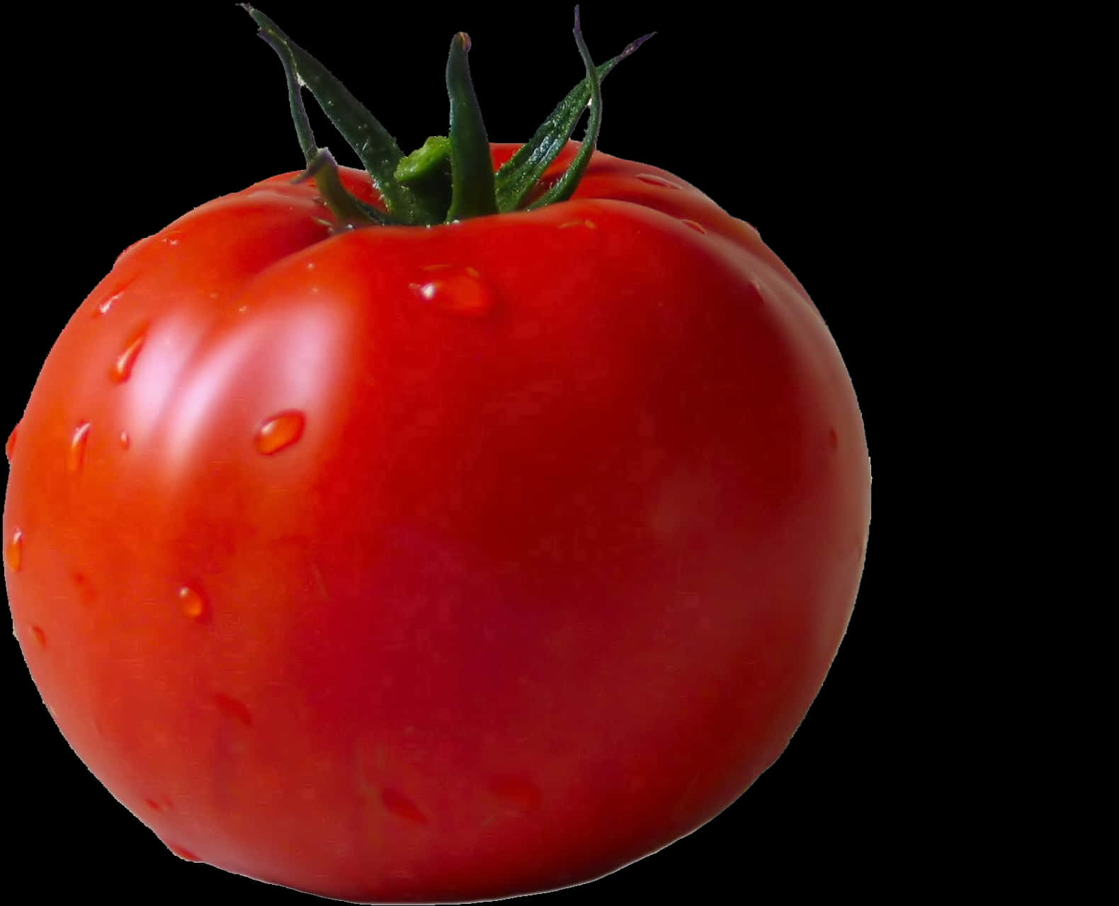 Fresh Red Tomatowith Water Droplets