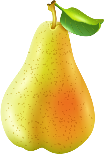 Fresh Ripe Pear Illustration