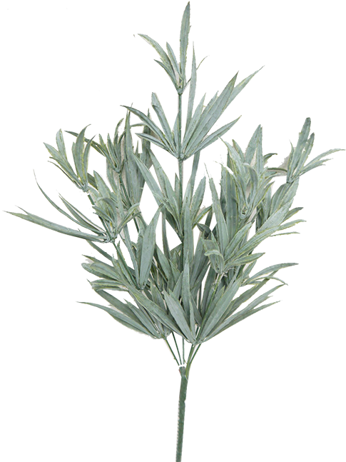 Fresh Rosemary Sprig.png