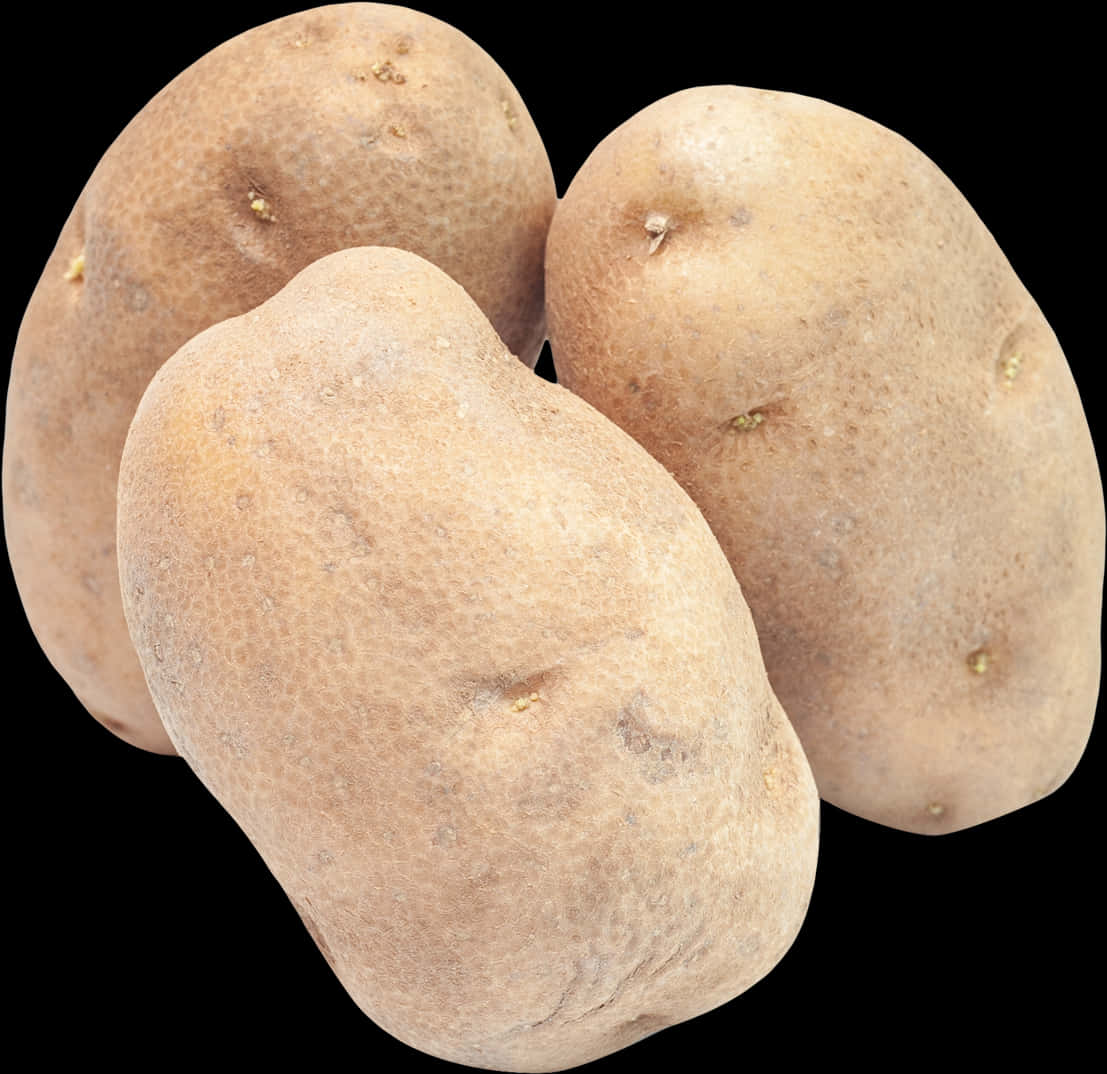 Fresh Russet Potatoes Isolated