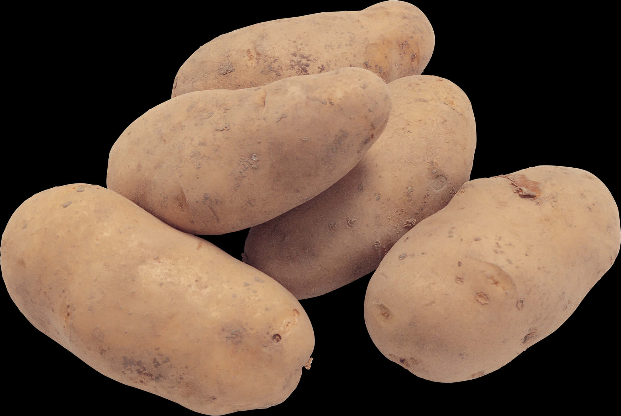 Fresh Russet Potatoes Isolated