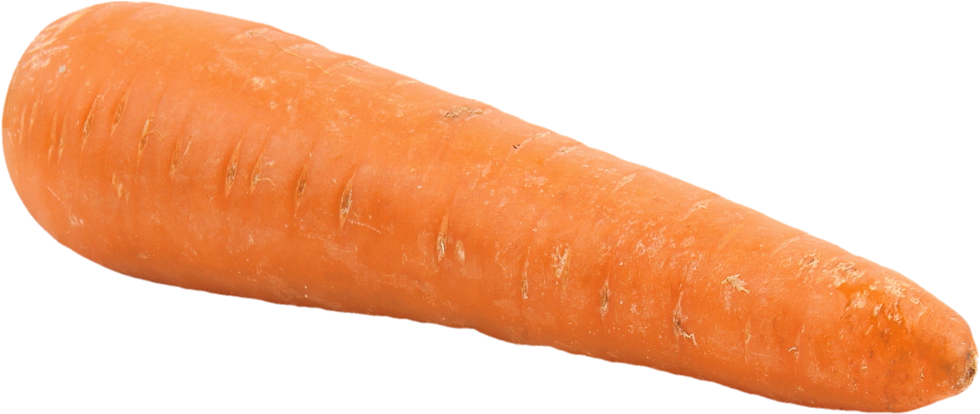 Fresh Single Carrot Isolated.png