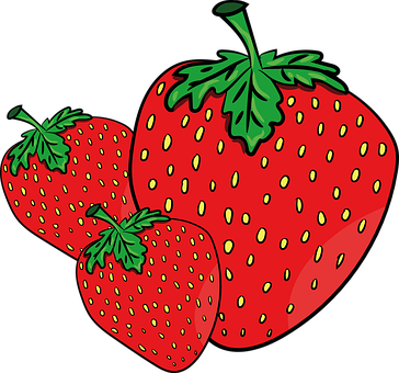 Fresh Strawberries Illustration