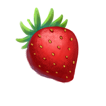 Fresh Strawberry Illustration