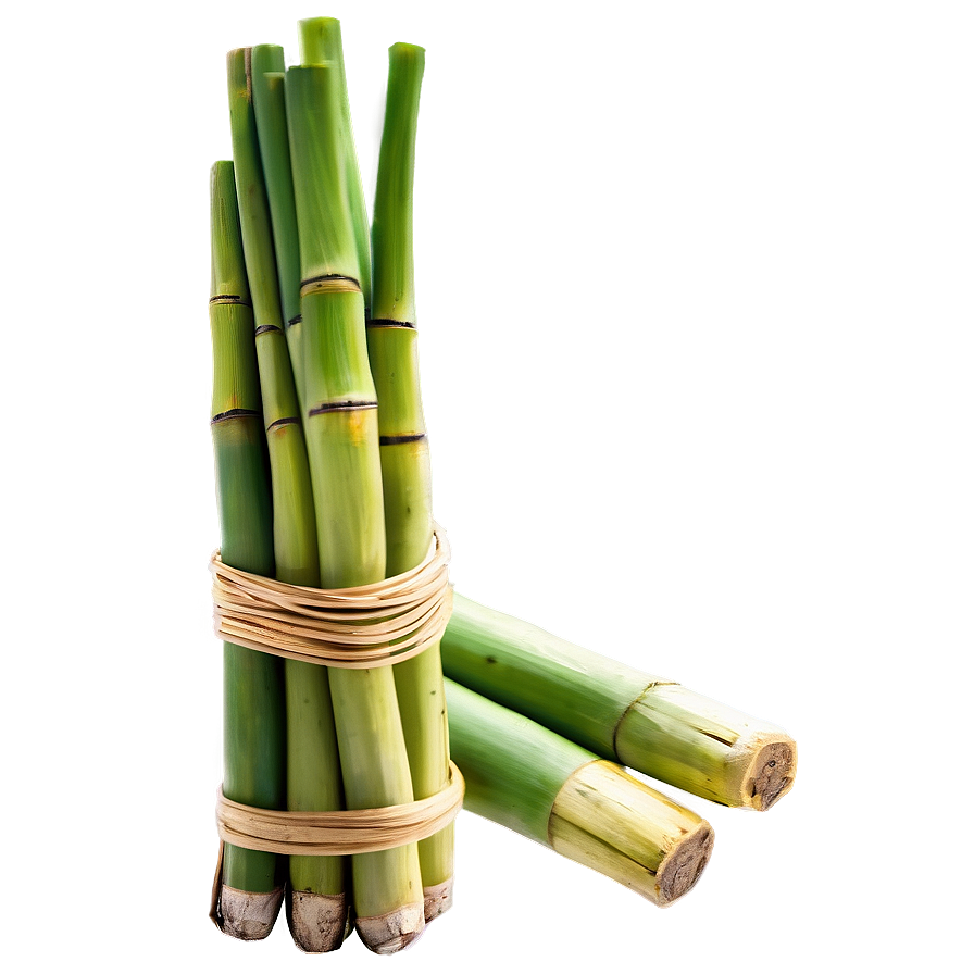 Fresh Sugarcane Png 06262024