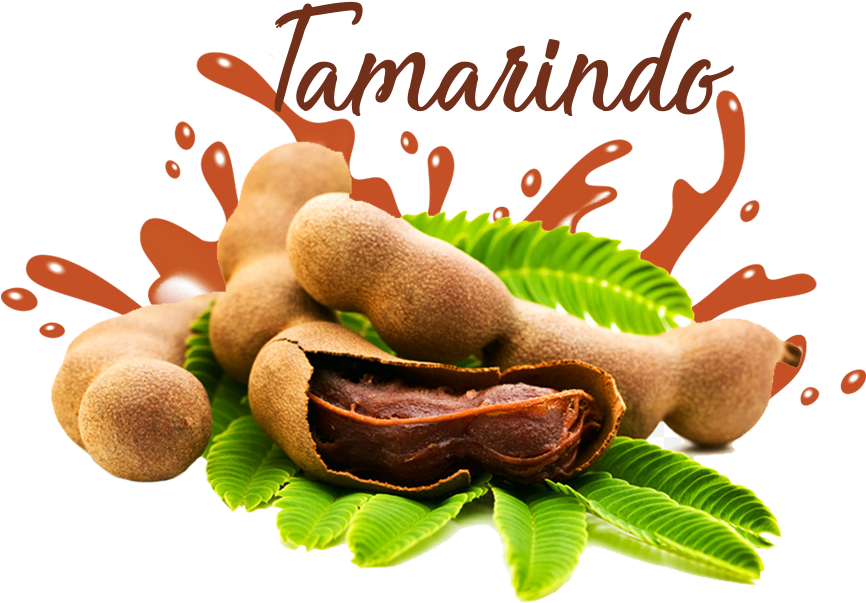 Fresh Tamarind Pods Splash