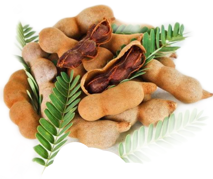 Fresh Tamarind Podsand Leaves