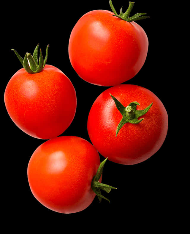 Fresh Tomatoes Black Background