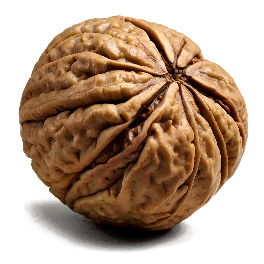 Fresh Walnut Png Bnf56