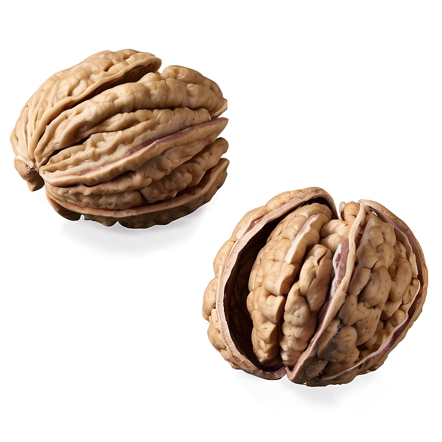 Fresh Walnut Png Tlh