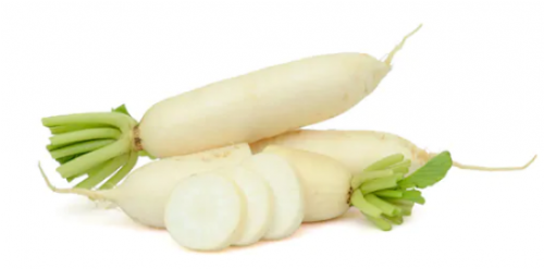 Fresh White Daikon Radishes