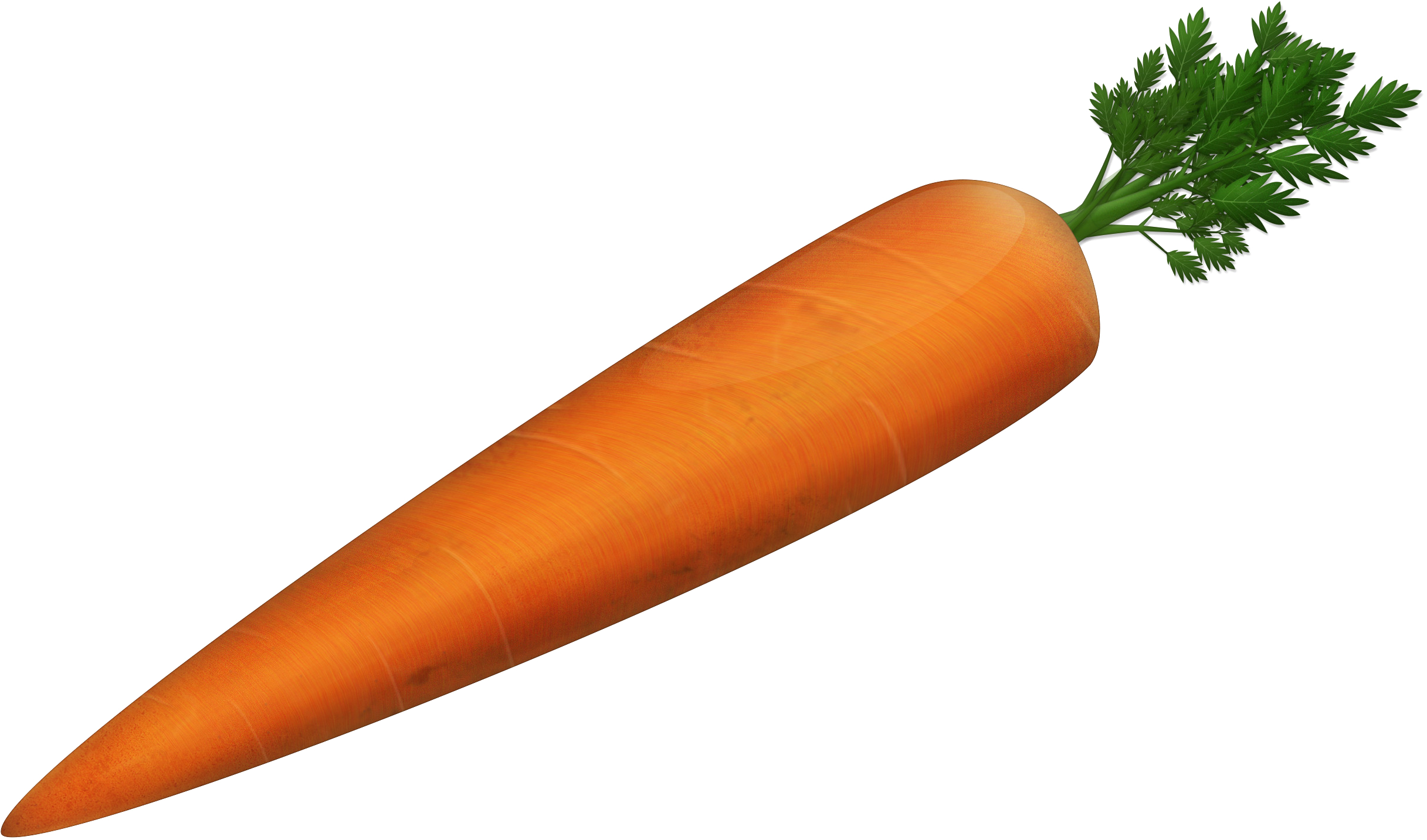 Fresh Whole Carrot Image