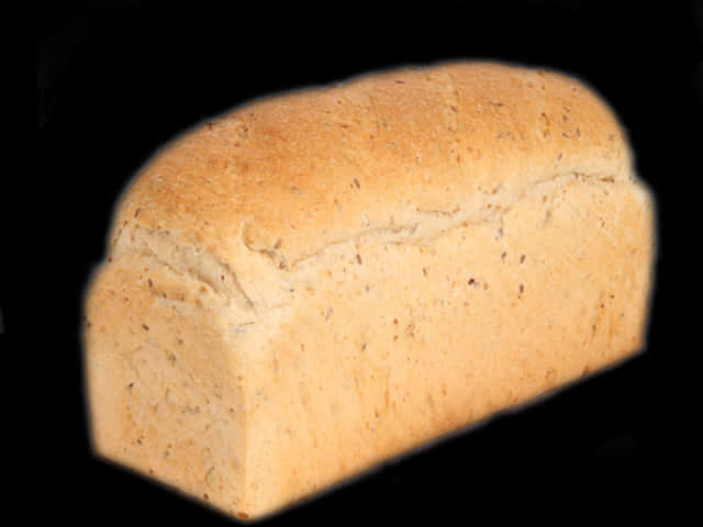 Fresh Whole Wheat Bread Loaf