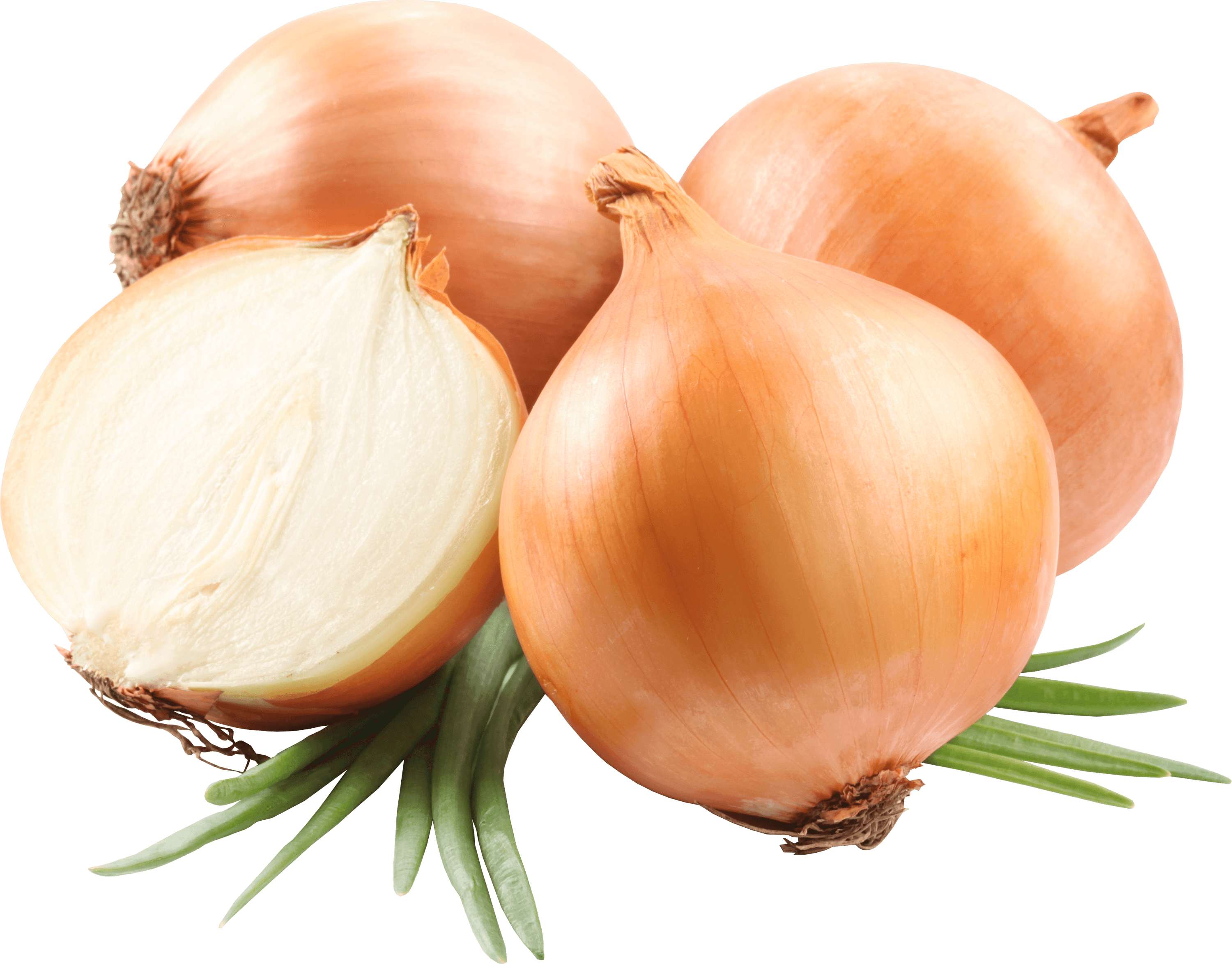 Fresh Wholeand Halved Onions