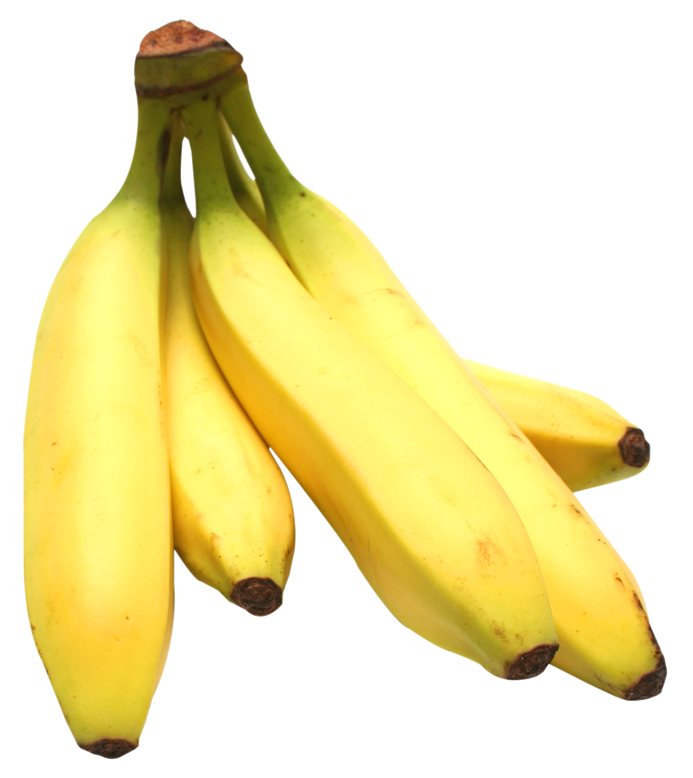 Fresh Yellow Bananas Isolated