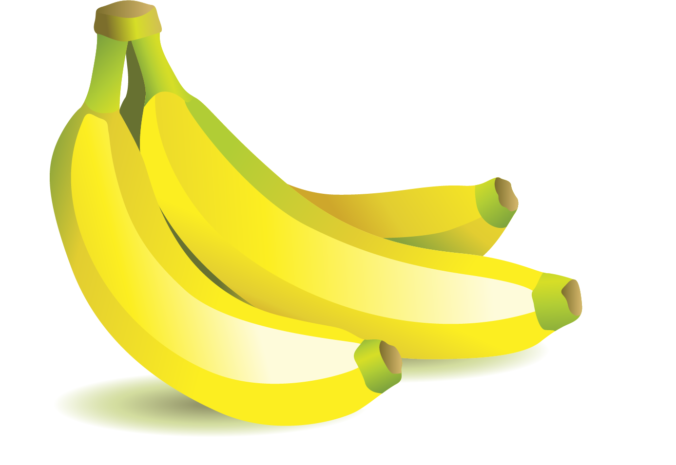Fresh Yellow Bananas Vector Illustration