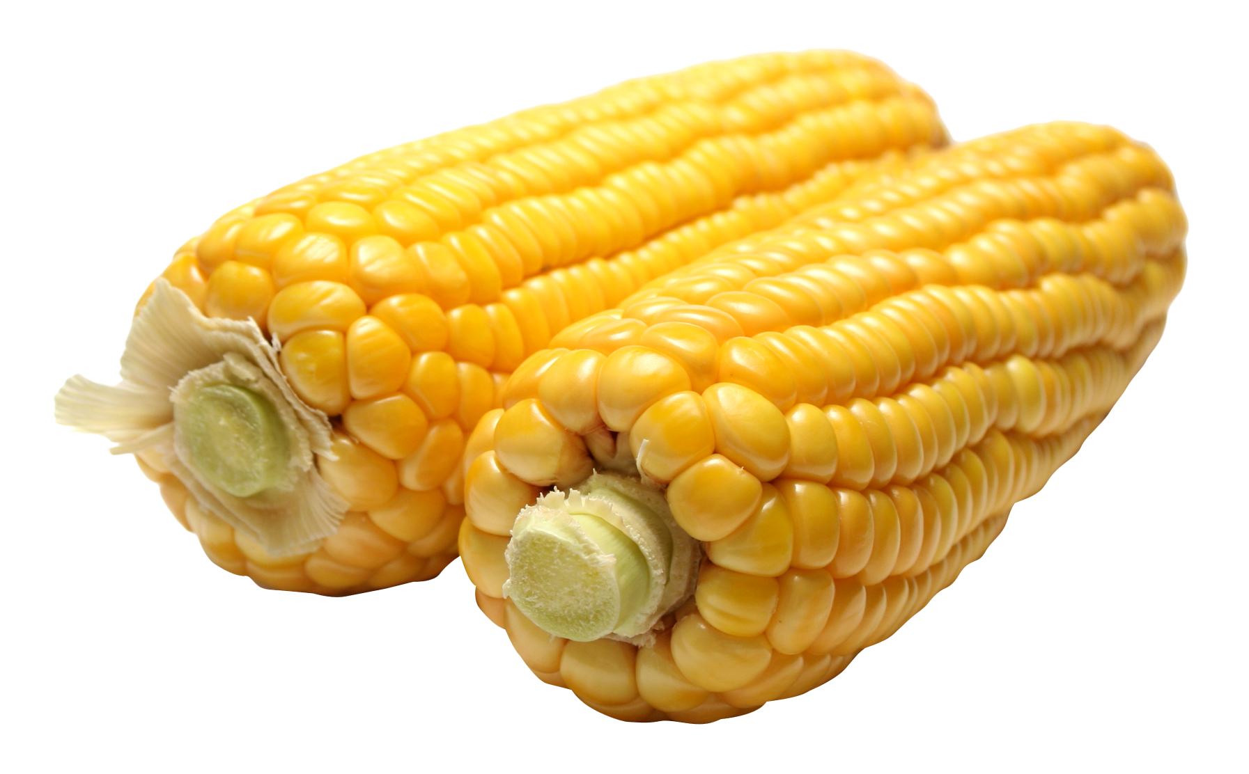 Fresh Yellow Corn Cobs
