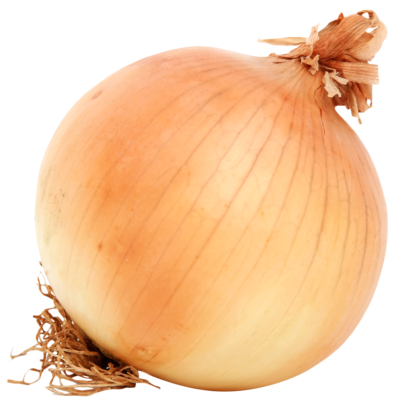 Fresh Yellow Onion