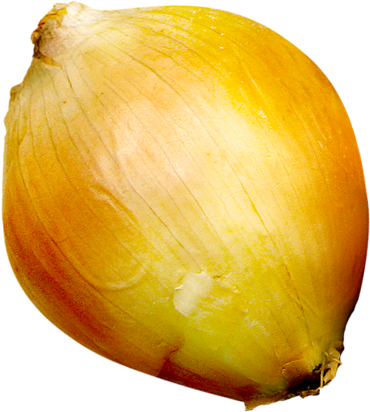 Fresh Yellow Onion Single