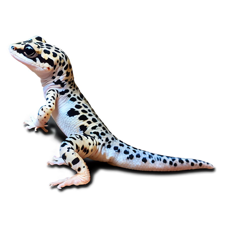 Friendly Leopard Gecko Png Akg