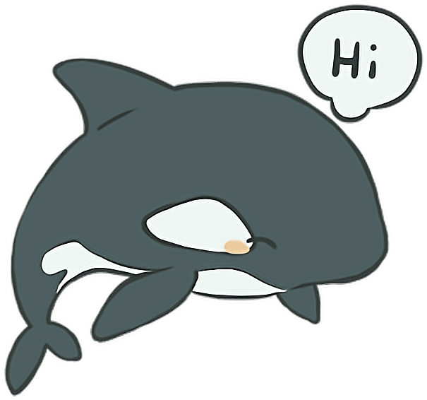 Friendly Orca Cartoon Greeting