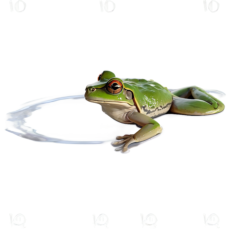 Frog In Pond Scenery Png 2