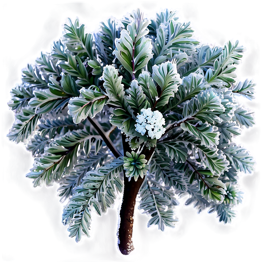 Frost Covered Bush Png 44