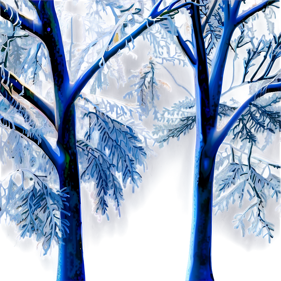 Frost Covered Trees Png 05042024