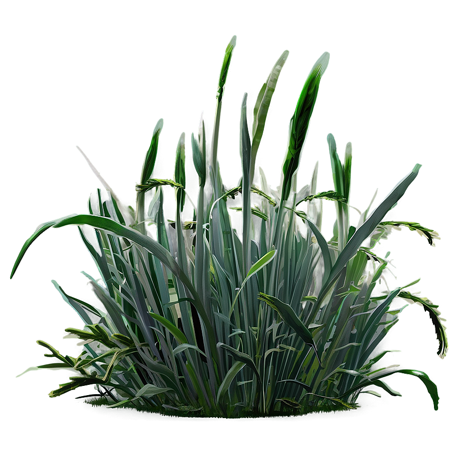 Frostbitten Grass Png 98