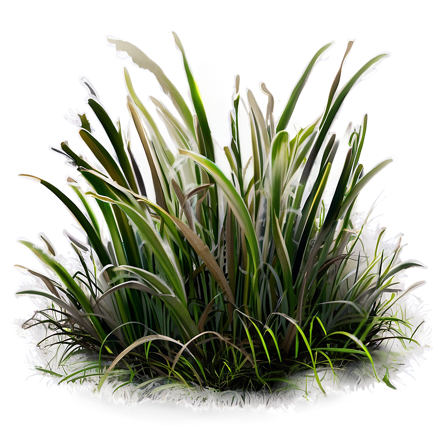 Frostbitten Grass Png Jty70