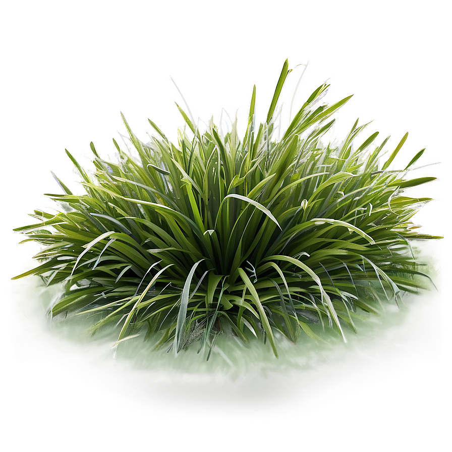 Frostbitten Grass Png Ryx94