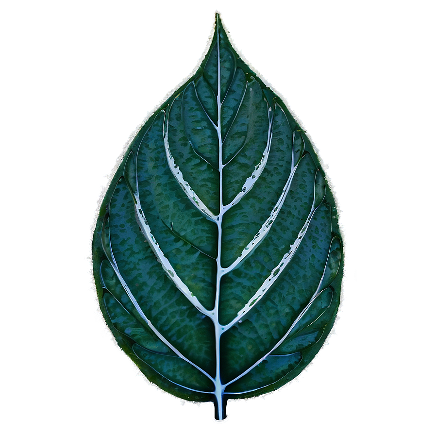 Frosted Leaf Png 97