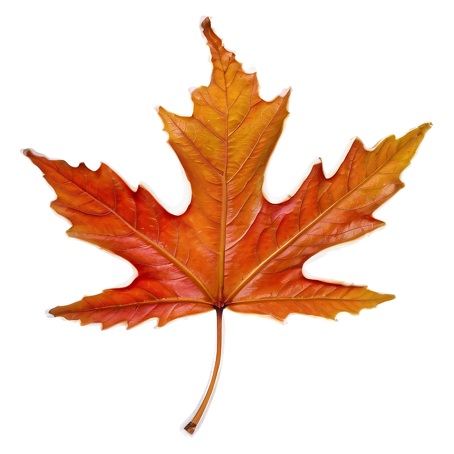 Frosted Leaf Png Sis