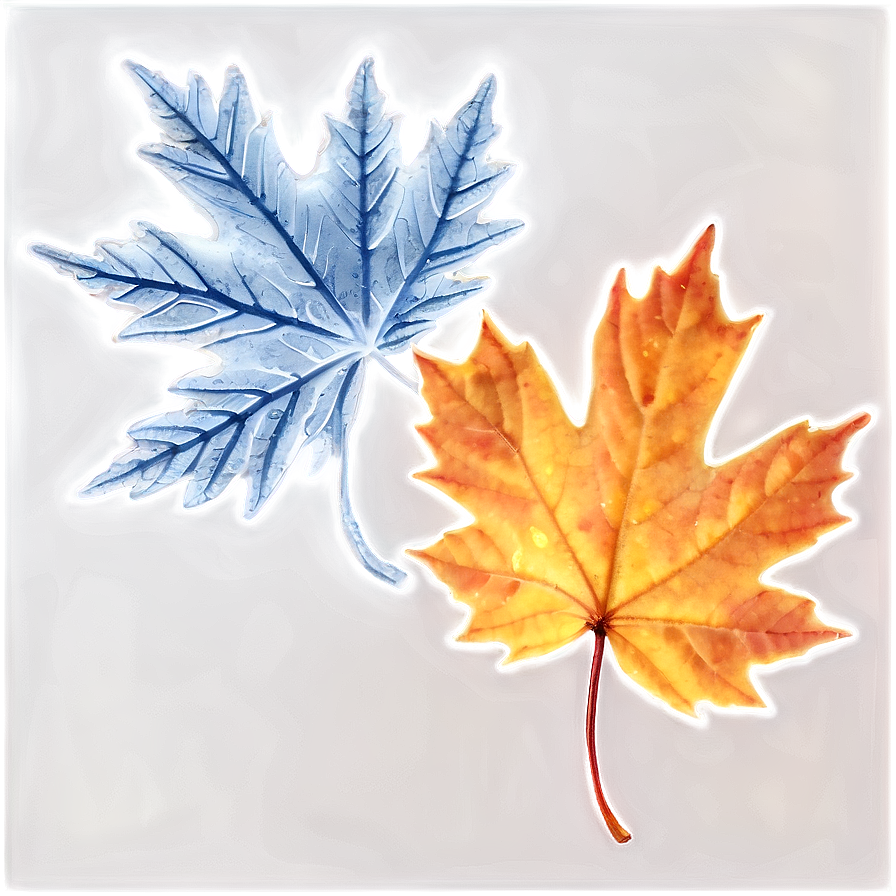 Frosty Autumn Leaves Png Sej35