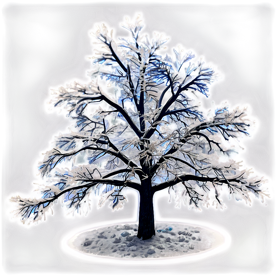 Frosty Snowy Tree Night Png Oua