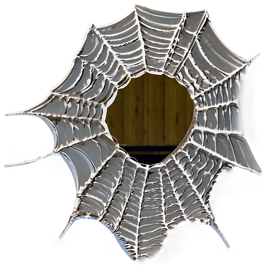 Frosty Spider Web Art