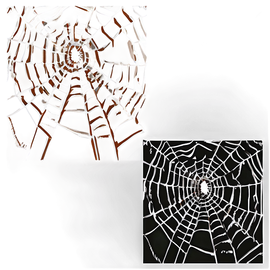 Frosty Spider Web Artwork