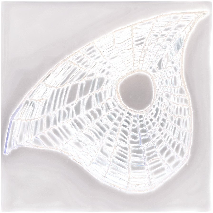 Frosty Spider Web Artwork